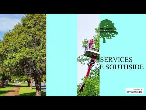 Brisbane Southside Tree Service – Chips Tree Lopping Brisbane Southside
