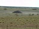 Antelope Eatin\ Antelope Eatin\