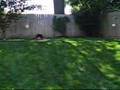 318 Pickett ST SW Virtual Tour