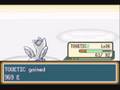 Pokemon Shiny Gold Walkthrough Part 49