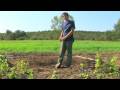 Vegetable Gardening : Raised Bed