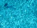 MVI_1964.MOV