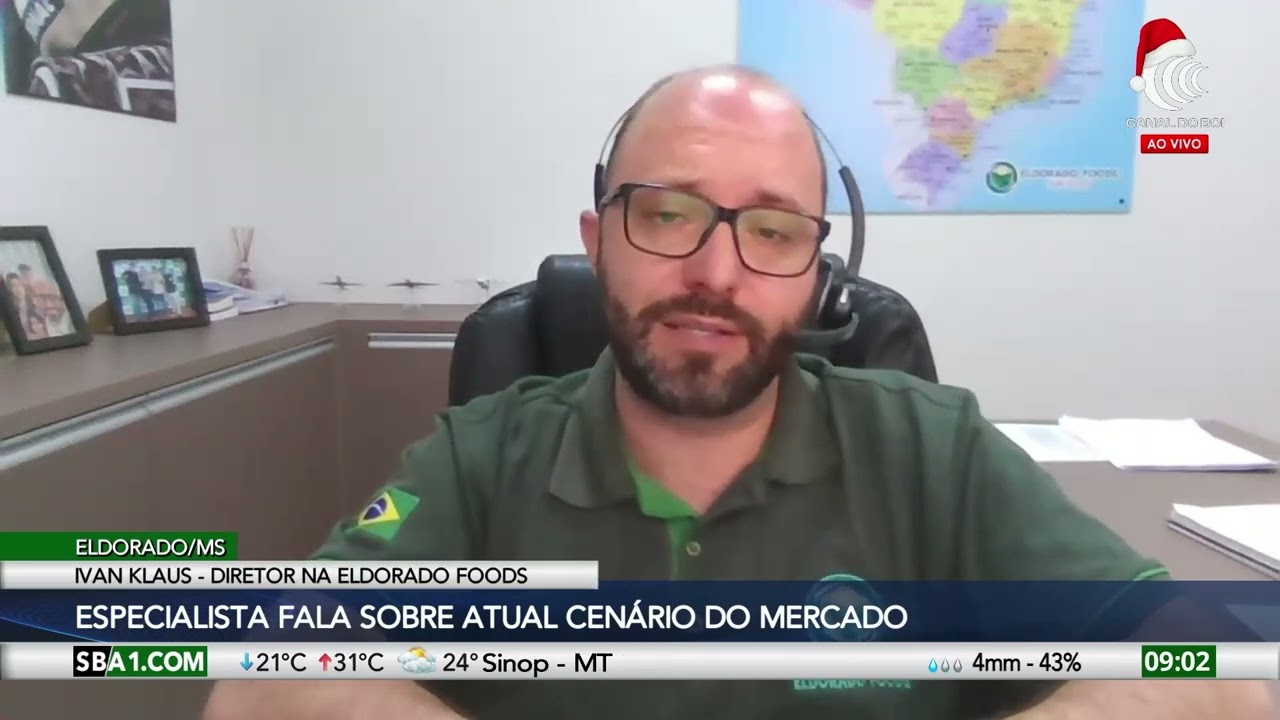 Cultura da mandioca evolui no estado de Mato Grosso Do Sul e Brasil