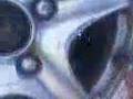 طلبه أكاديميه الشرطه يكسرون سياره ضابط لديهم a-hetlar.com