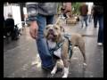 Diesel en Morgan Diesel en Morgan