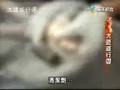 不可思議的世界-大膽旅行團拍攝遺體處理的過程B