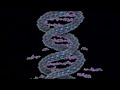 Would Nature do it? - Biomimicry Would Nature do it? - Biomimicry