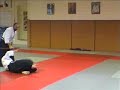 aikido sensei