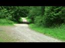 LINK: http://blip.tv/file/969025
Su ...
