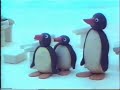 Pingu På Sexualupplysning Pingu På Sexualupplysning