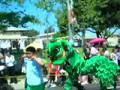 bayside and van lang multicultural fair