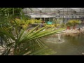Storbeck Blumen - Hydrokulturen in Bielefeld