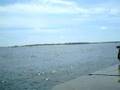 View on Volga river, Volgograd, Russia