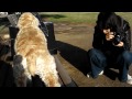 Click here to watch this video あーちゃんの日常 ～お水ちょーだい編～ アメコ