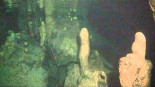  Elephant Cave by Omegadivers.com