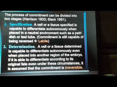 Principles of Animal Development part 2(modif)