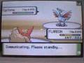 Pokemon Battle Horus vs. Mango