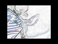 Wankas - Who the Fuck are the Gorillaz? [Acoustic] (Official Video)