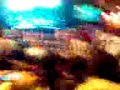 COncierto Daddy Yankee (Dale Caliente)