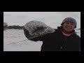 Ziema winter jackass