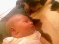 Baby and Dog