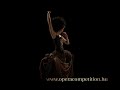 Voting spot - Opera competition with Mezzo TV 2008