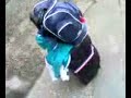 2nd part of small dole