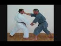 t�cnicas de ippon kumite y de goshin (defensa personal) realizadas por el sensei eduardo ruiz de casta�eda y su alumno luis vidal