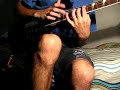 tecnica de varios violeros