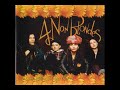 4 Non Blondes - Train