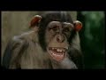 COSMOTE: Multi campaign - TV spot