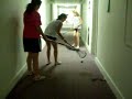 Dorm Hockey/Lacrosse.