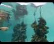 Rang Yai Pearl Farm, Phuket, Thailand