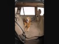 Solvit Dog Car Seat