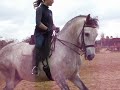 Training Andalusians in Spain