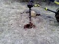 Orchard making 1