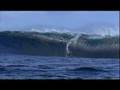 BillabongXXL.com Ride of the Year Entry