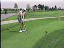 Golf Birdie
