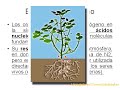 procesos biogeoquimicos procesos biogeoquimicos