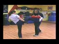 Jeet Kune Do Martial Arts Techniques : Shin Techniques for Jeet Kune Do