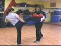 Basic Techinques of Jeet Kune Do Martial Arts : Shin Techniques for Jeet Kune Do