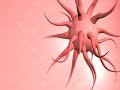 3D Medical Animation