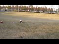 076.MOV
