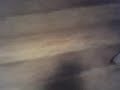 Grainy Weasel Film Number Two