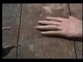 Švankmajer + Joëlle Léandre