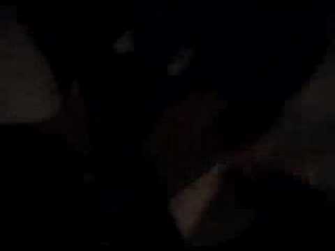 The Herman Melville Experience - ...