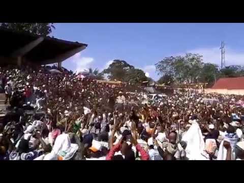 Accueil de Cellou Dalen Diallo à Kissidougou 