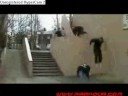 parkour and freerunning for the win