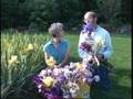 Re-Blooming-Iris