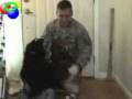 soldier coming home